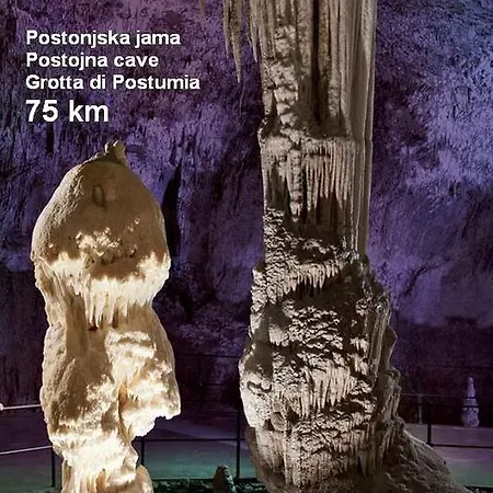 Apartma Veverin Apartment *