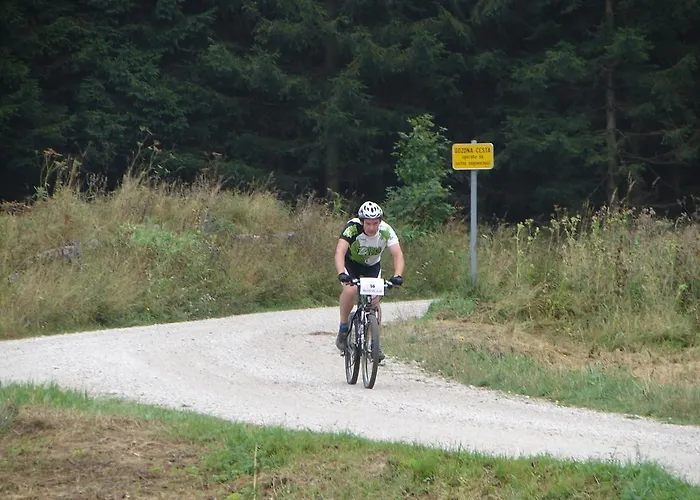 Apartma Veverin דירה Lokve