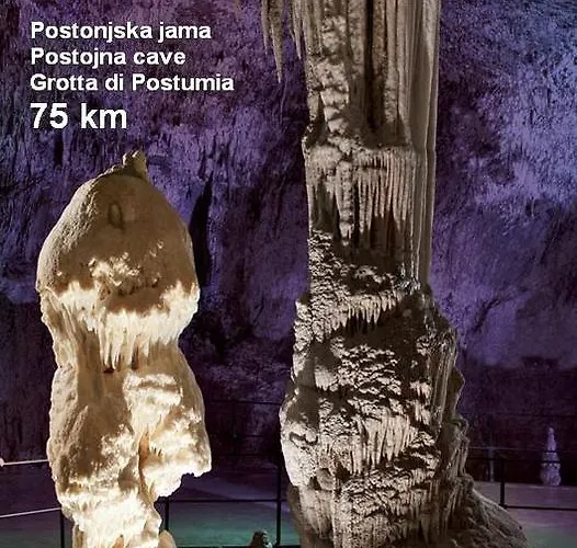 Apartma Veverin דירה *